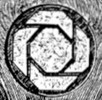 Image.