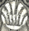 Image.