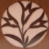 Image.