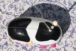 Image.