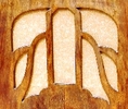 Image.